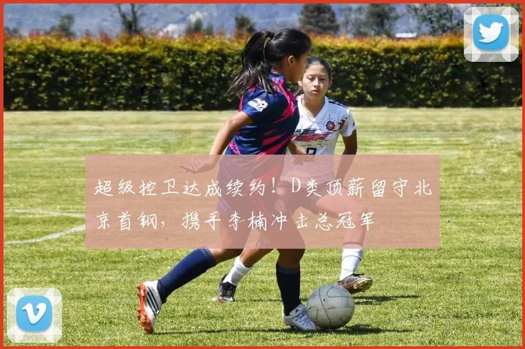 超级控卫达成续约!D类顶薪留守北京首钢,携手李楠冲击总冠军